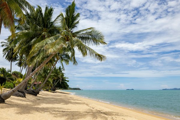 Découvrez les Dernières Tendances des Sites de Location de Vacances